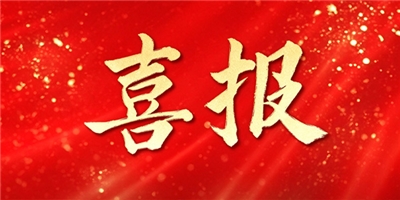 集团非洲矿产战略再提速丨坦桑尼亚三大多金属矿权项目全面推进